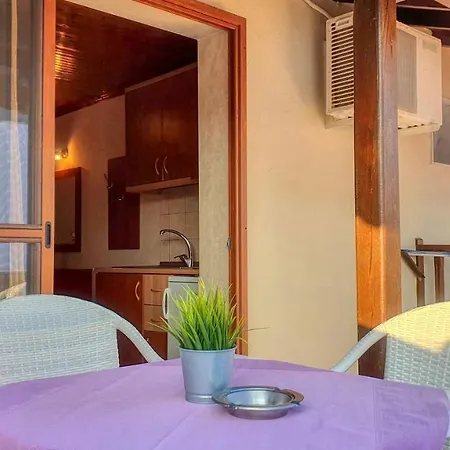 Rodon Garden Centre سارتي